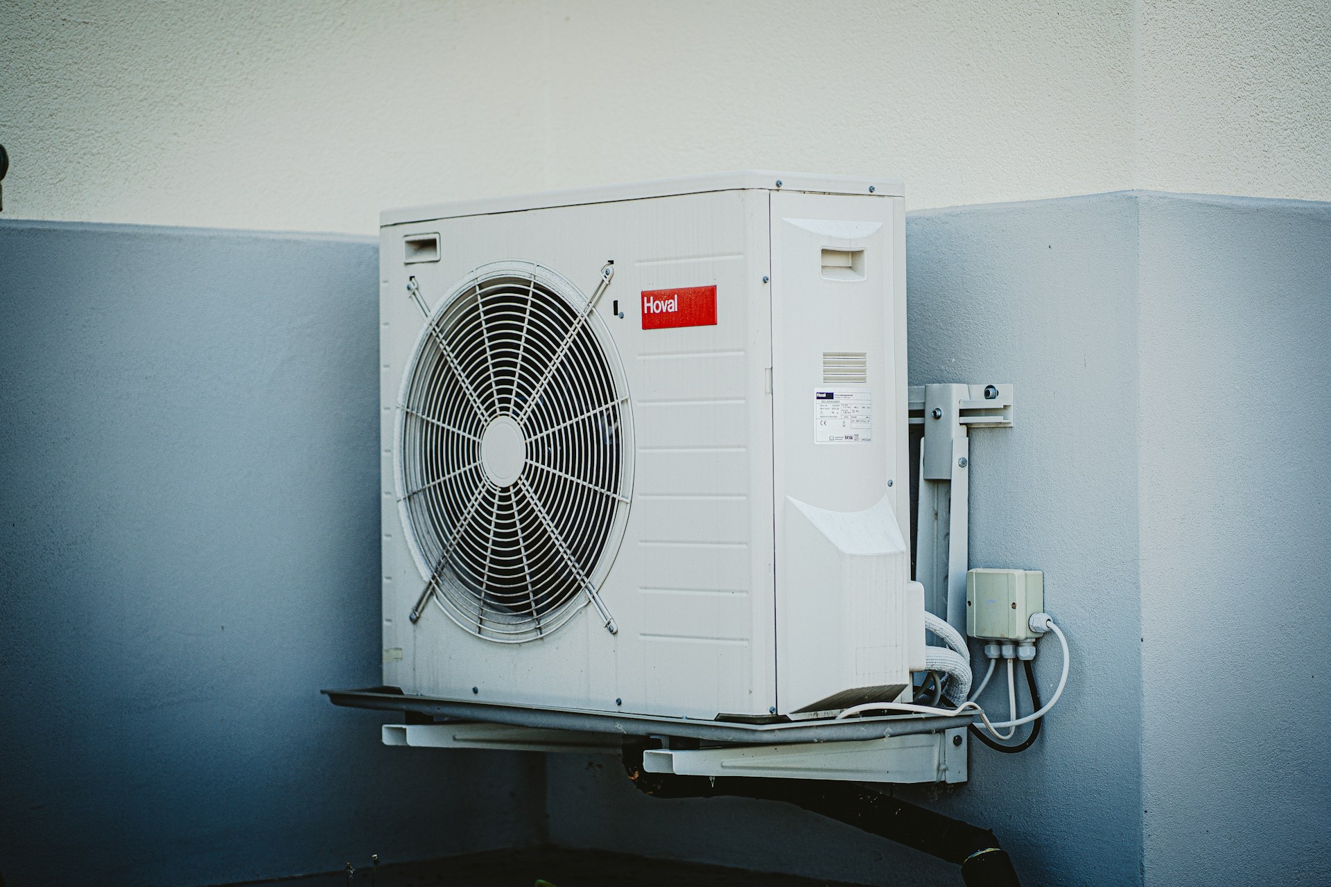 carlos lindner 53wcYH4IOig unsplash 1